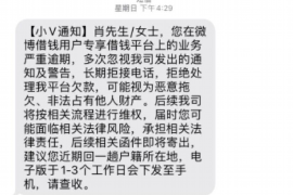 众安贷高炮怎么催收?全面解析催收策略与技巧 众安贷高炮怎么催收?全面解析催收策略与技巧