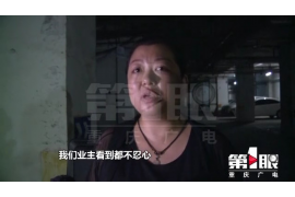/img/2239.png/img/2239.png网贷催收花样多:揭秘网贷行业背后的催收手段/img/2239.png /img/2239.png/img/2239.png网贷催收花样多:揭秘网贷行业背后的催收手段/img/2239.png
